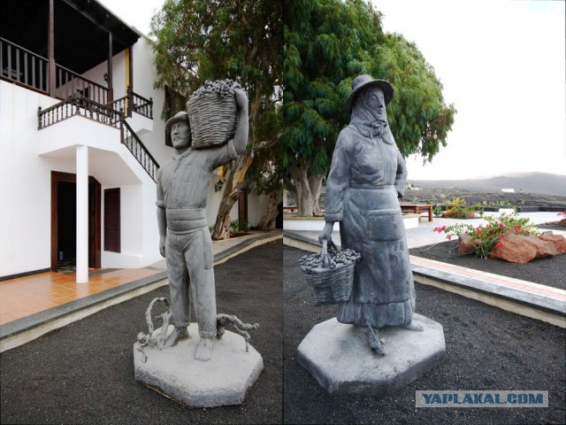 Вулканические виноградники острова Лансароте