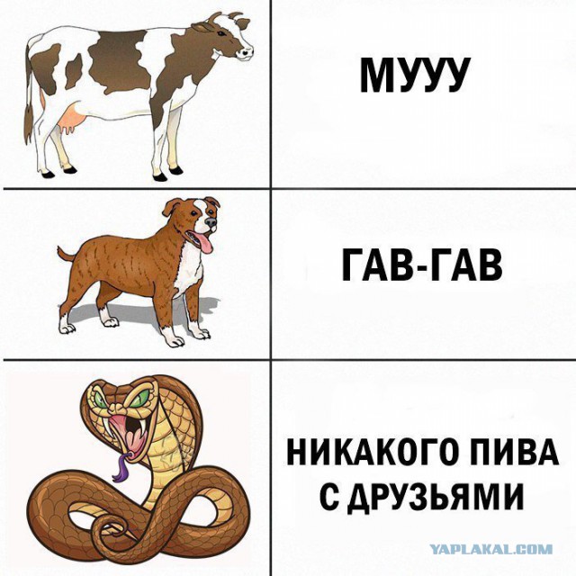 Прочь мандиблы!