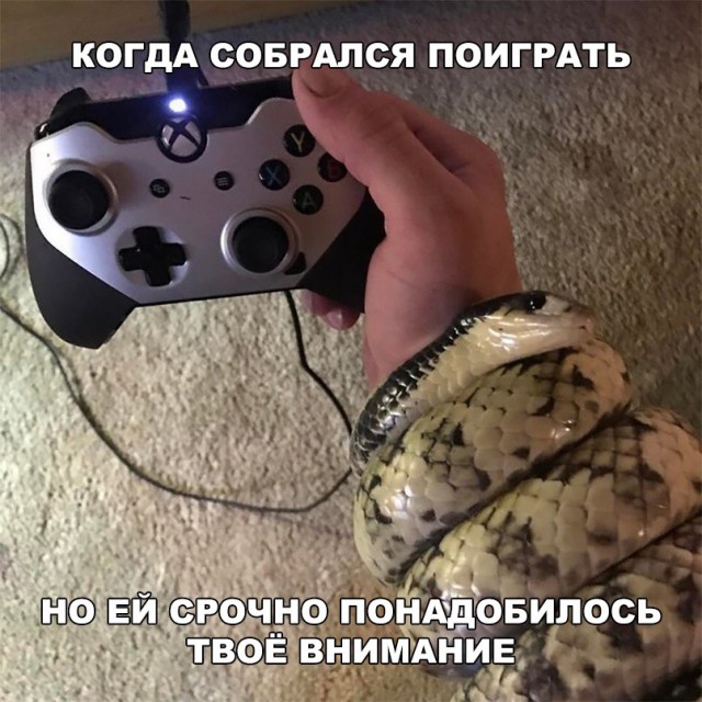 Прикольные картинки абавсём