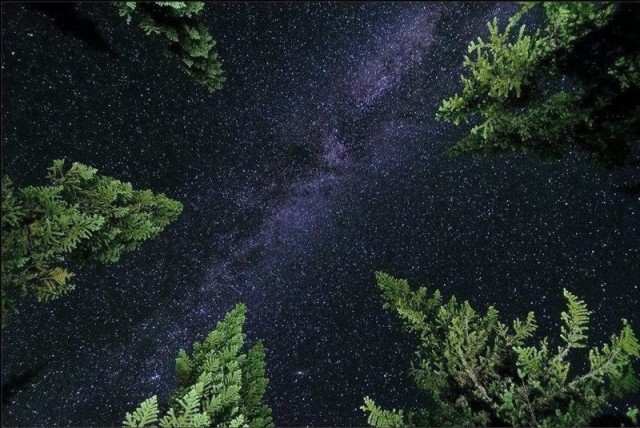 Несколько характерных русских пейзажей