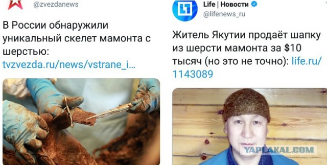 Смешные комментарии из социальных сетей 24.08.2018