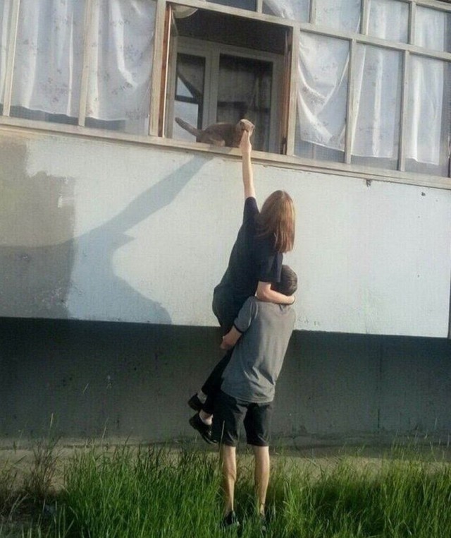Выловлено в наших сетях