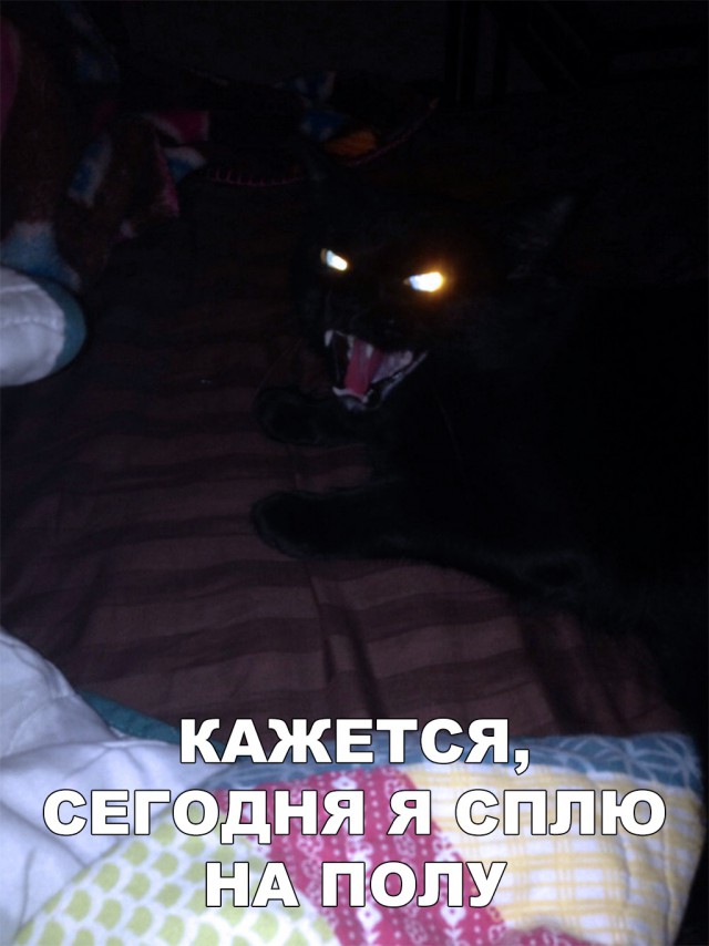 Немного милоты