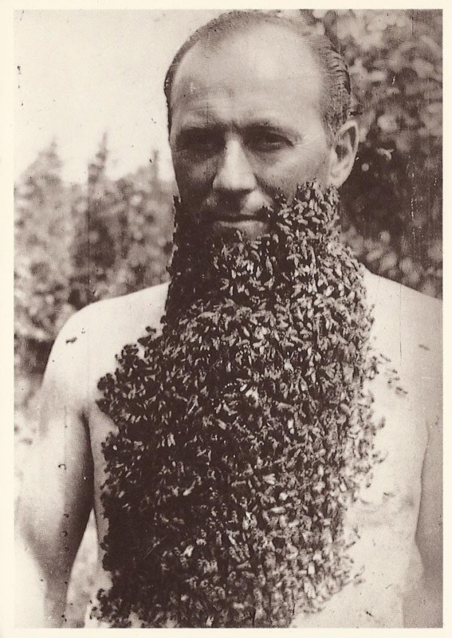 Интересные и редкие фотографии