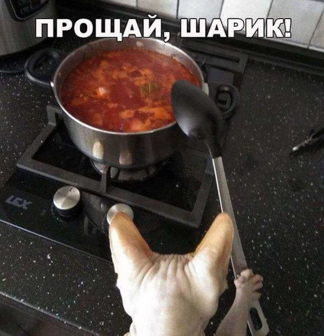 Любая женщина на свете умеет...