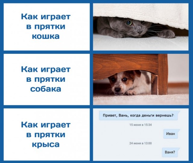 Немного картинок для настроения
