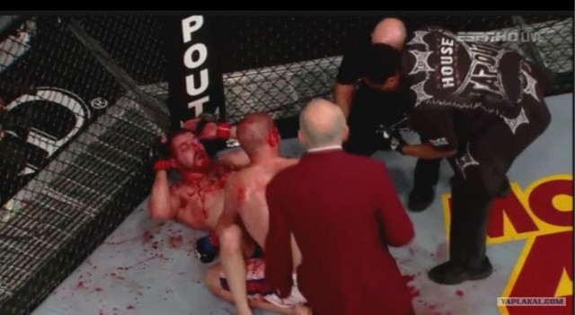 БОКС/MMA....