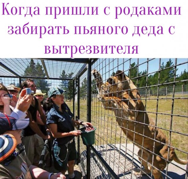 Бредзона 10.02.2020