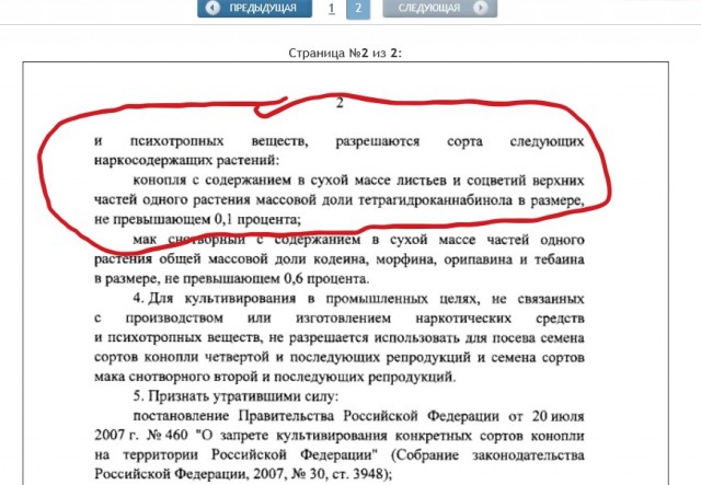 Для здоровья: новое правительство России разрешило выращивать мак и коноплю