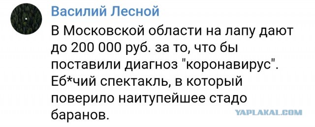 Пандемия. Коронавирус. Россия и мир. Последняя информация. Часть 14