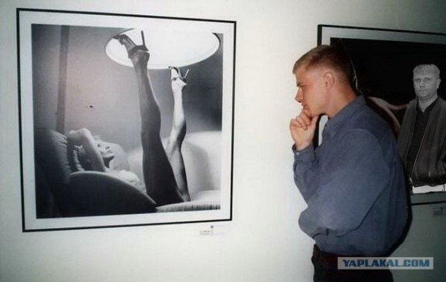 Фотожаба: Молодой ценитель