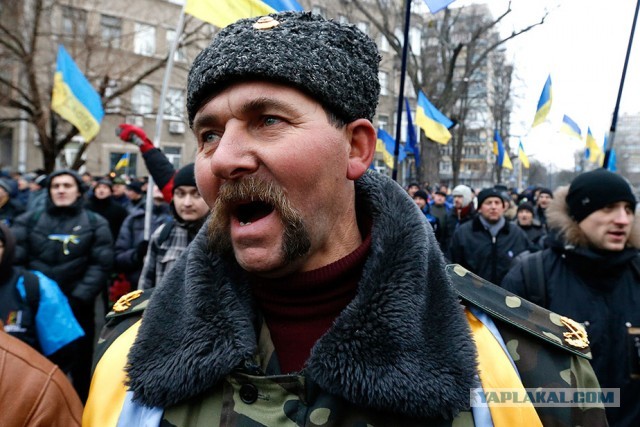 Эти белые совсем обнаглели