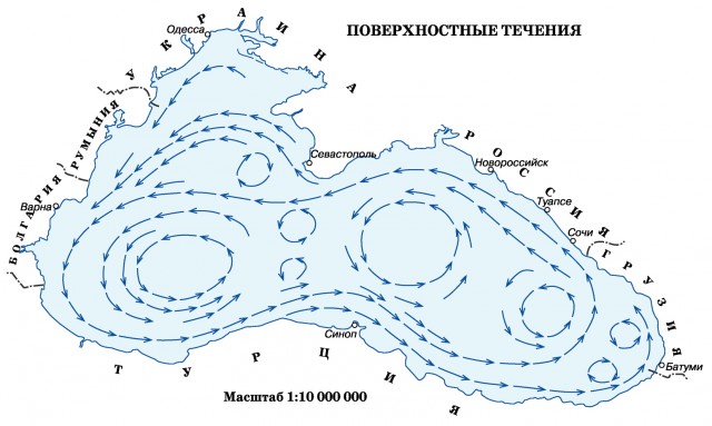 У Черного Моря