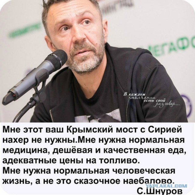 Андрей Разин: "Шнуров - помойный пёс"