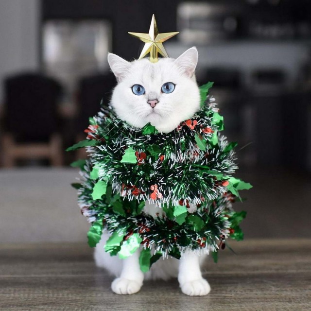 Прикольные и просто красивые картинки 30.12.2020