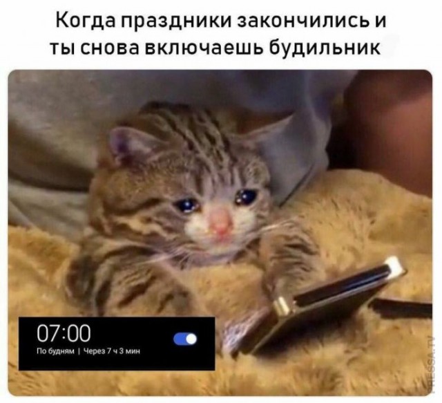 Картинки и мемы для настроения 011
