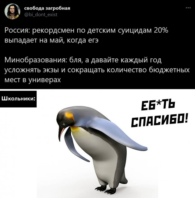 Весёлый полтишок 18.03