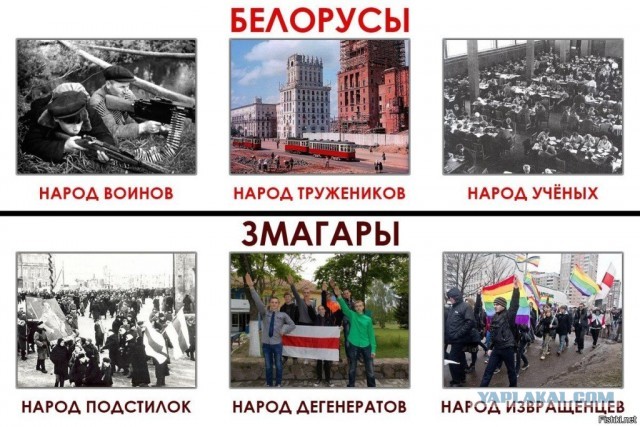 Тиктокер из Витебска заплевал воинский мемориал
