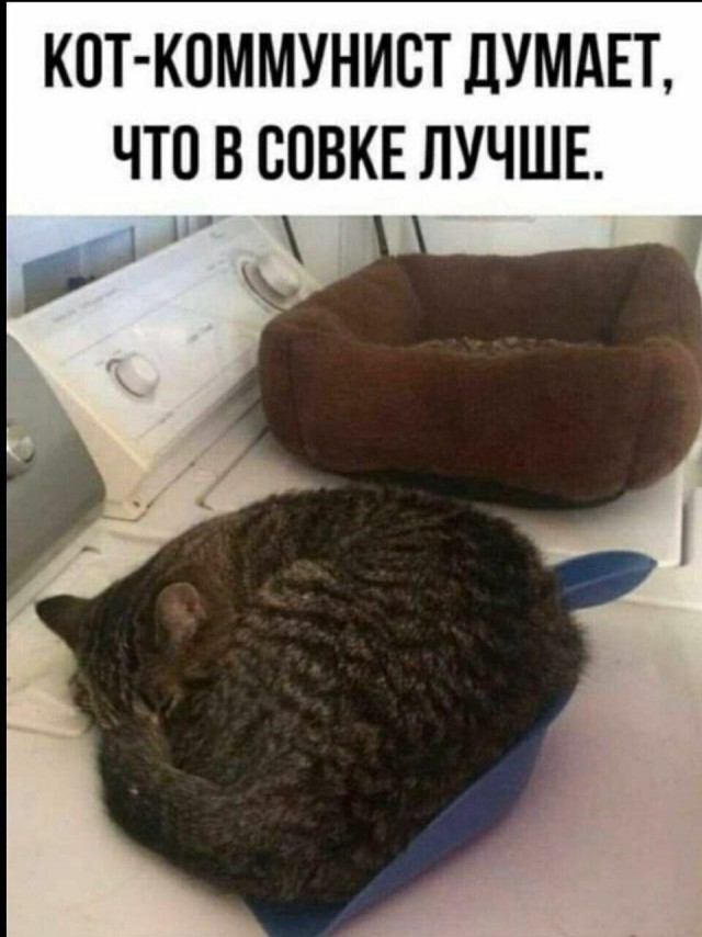 Какое это было счастье - жить в Советском Союзе! И вот почему!