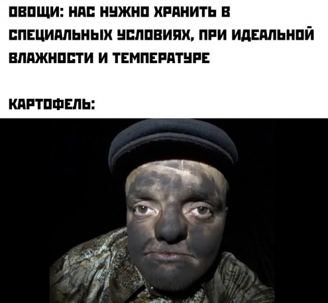 Весёлый полтишок 2.06.2021