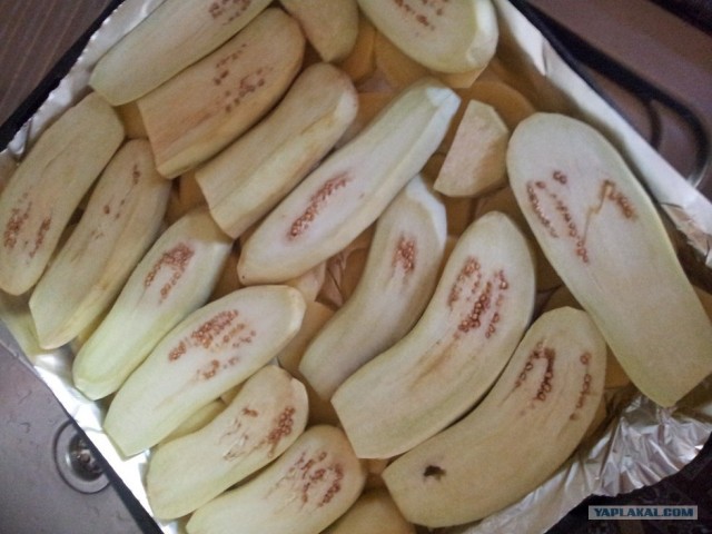 Пятничные посиделки на теплотрассе ©