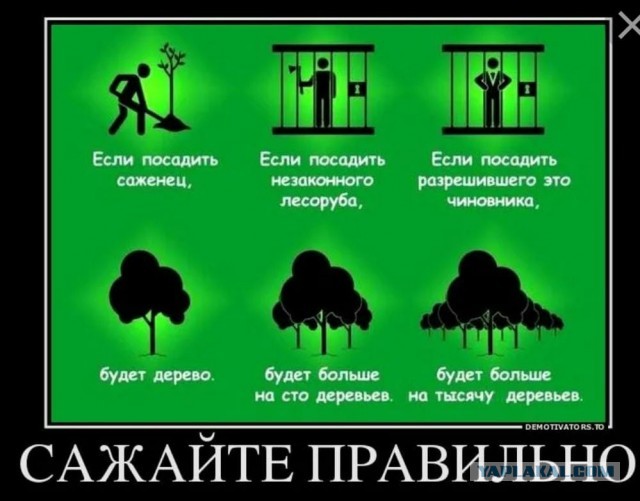 Выгорела Ирландия