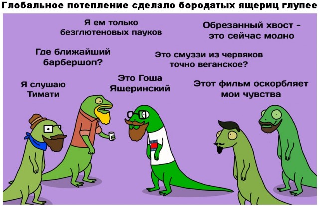 Чуток картинок 10.12.21