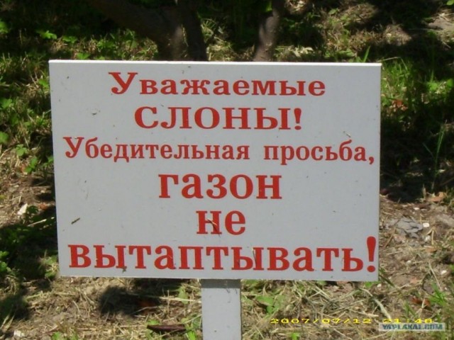 Вежливо и доходчиво
