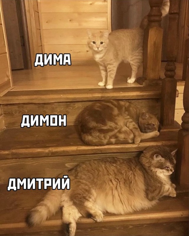Картинки и мемы для настроения - 14
