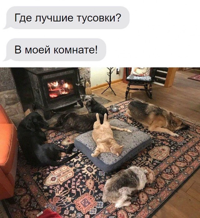 Картинки и мемы для настроения - 009