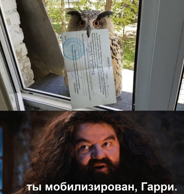 Юмор в картинках и без