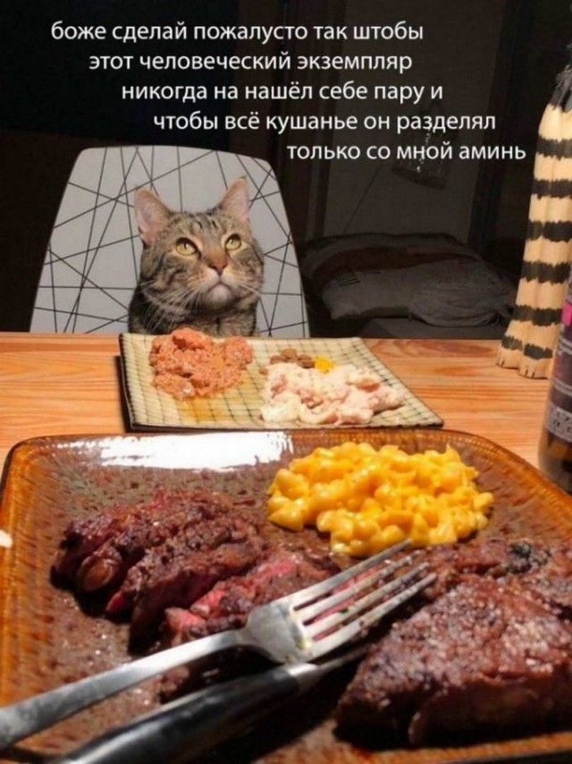 Картинки и мемы для настроения - 119