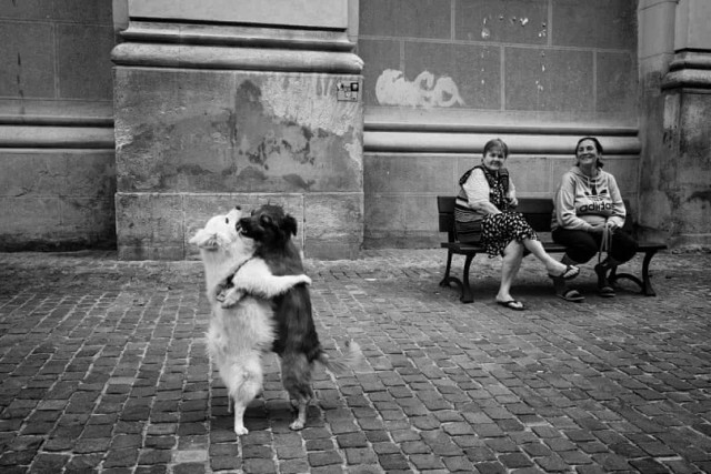 Уличные чёрно-белые фотографии. Весь мир