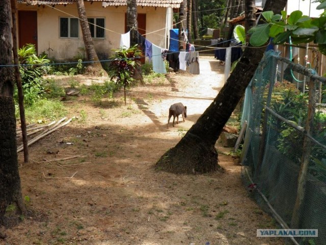 ГоА свои впечатления