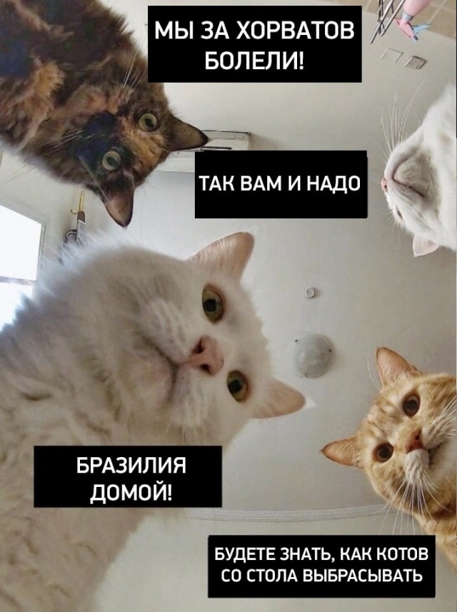 Катар 2022