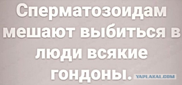 Так себе картинки 17.01.23