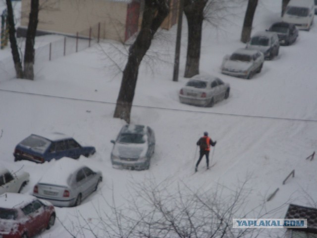 23 марта. Киев. Весна.