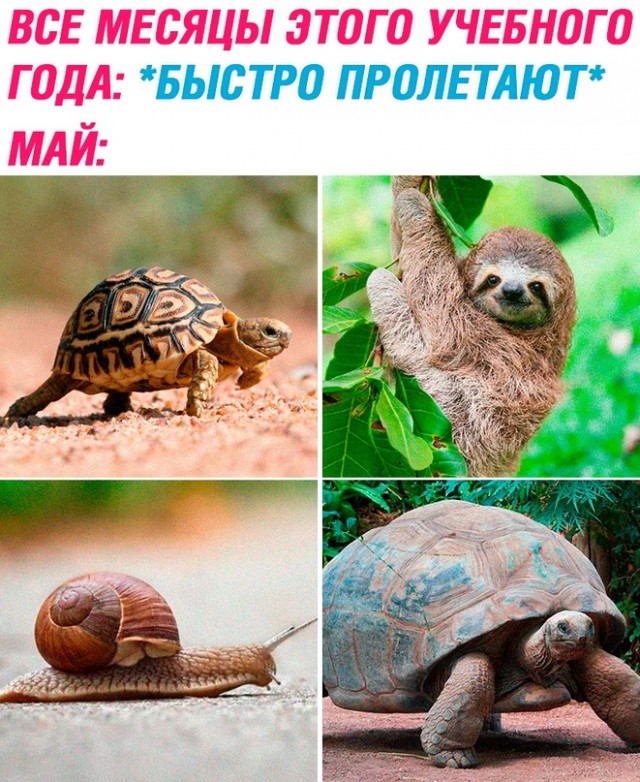Картинки и мемы для настроения - 181