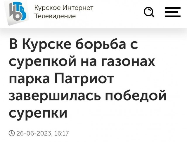 Весёлый полтишок 19.07.23