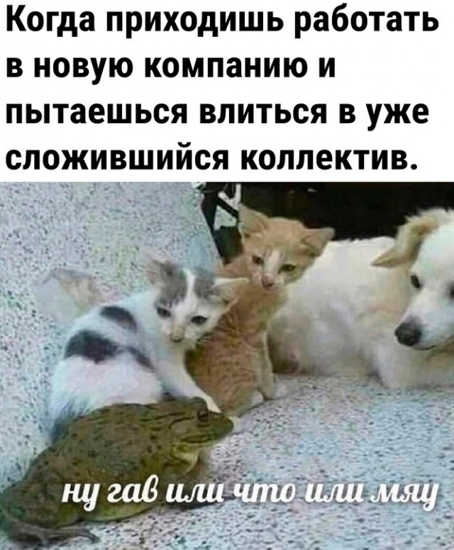 Весёлый полтишок 23.01.24