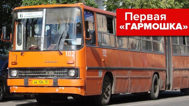 Дедули