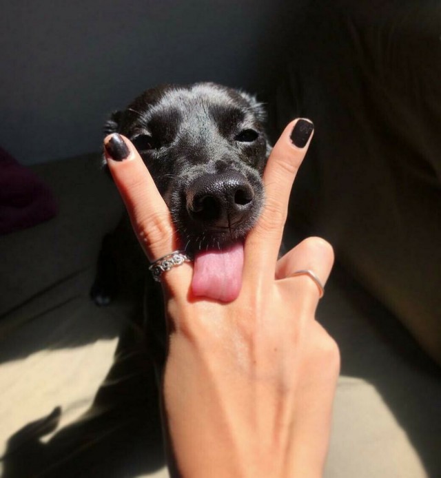 Разное