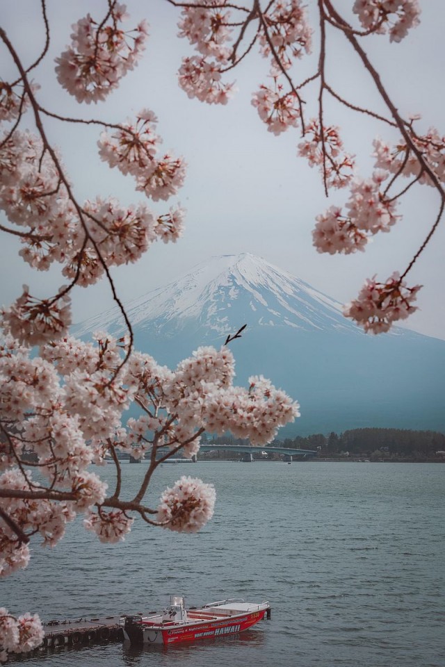 ФотоВинегрет