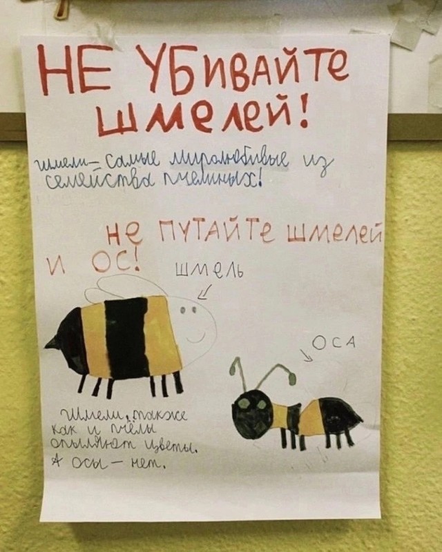 Так себе картинки 27.05.24