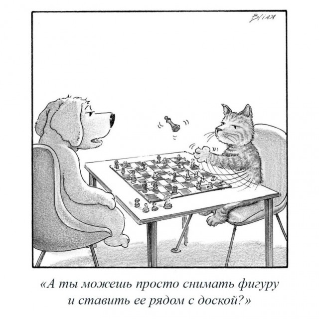 Картинки