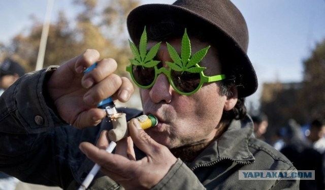 Полиция Германии о марихуане на Евро: "Нет проблем с ее употреблением. Внимание будет сосредоточено на пьющих"