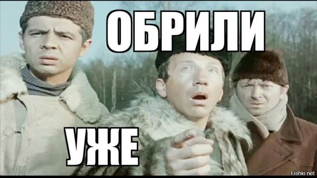 Заведи себе чихуахуа, говорили они