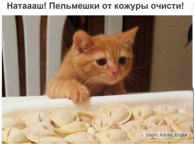 Ездил в Люберцы в налоговую, заехал в пельменную, есть ведь места ещё...