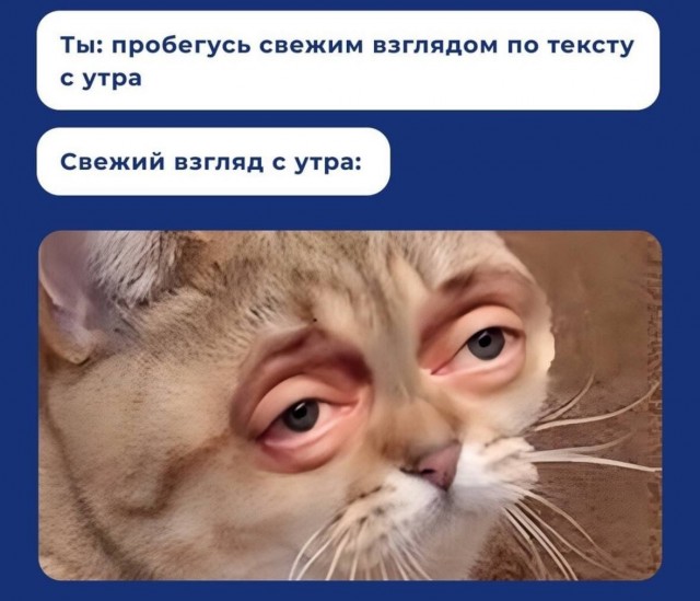 Так себе картинки 25.08.24