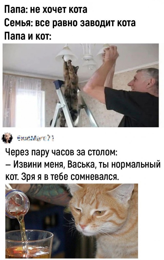 Так себе картинки 26.08.24